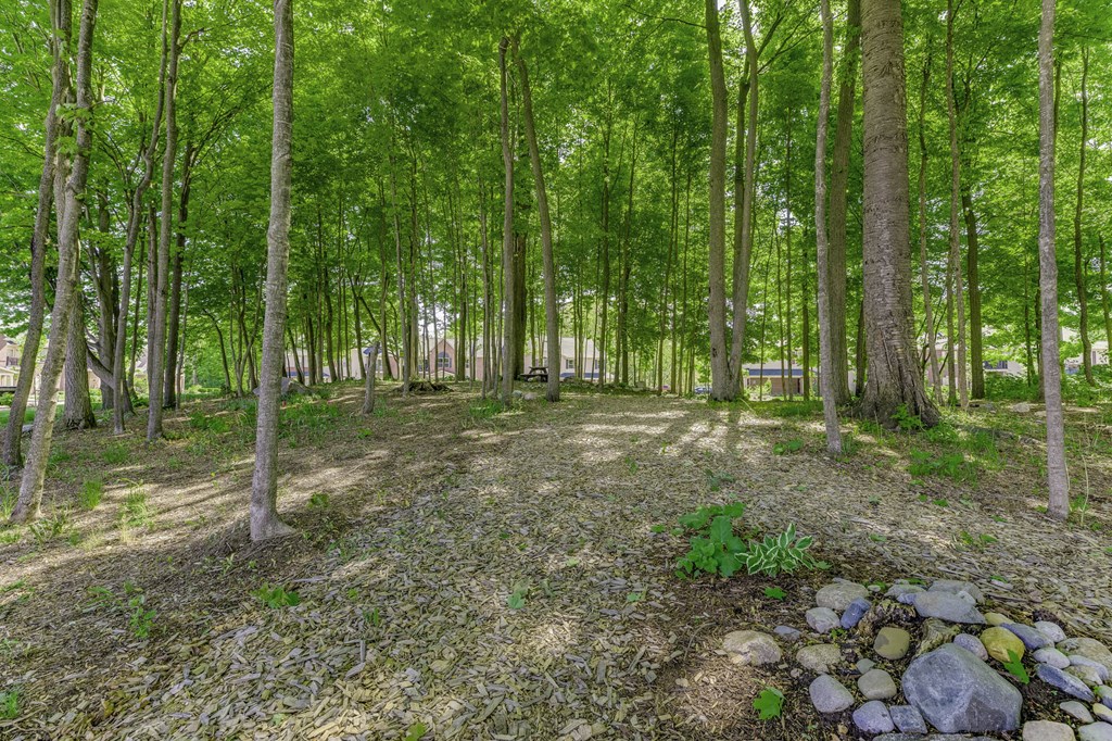 Aspen Lakes Homes Rentals Holt, MI RentCafe